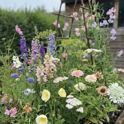 Cottagecore-Cut-Flower-Mix